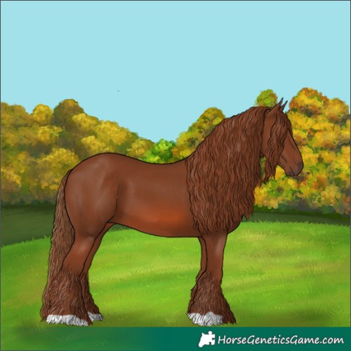 Horse Color:Chestnut 