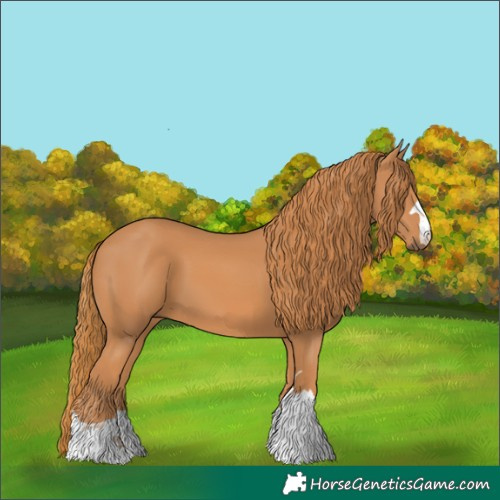 Horse Color:Chestnut 