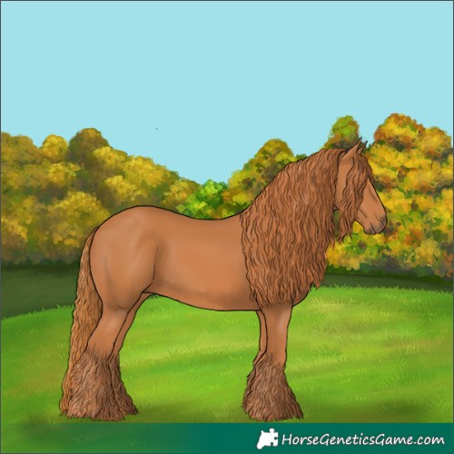 Horse Color:Chestnut 