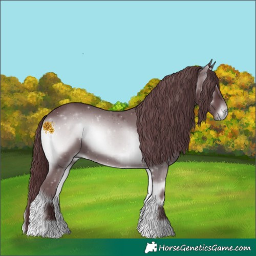 Horse Color:Chocolate Blue Onyx Chinchilla 