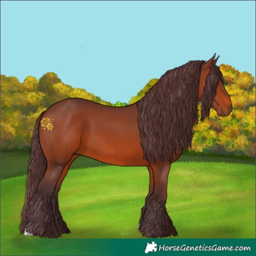 Horse Color:Chocolate Brown 