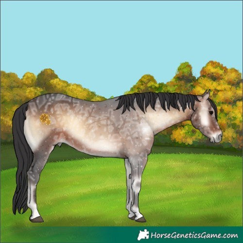 Horse Color:Brown Ice Onyx 