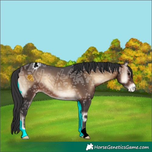 Horse Color:Brown Ice Onyx Appaloosa 
