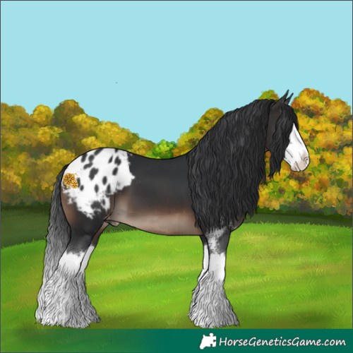 Horse Color:Brown Sabino Splash Blanket 