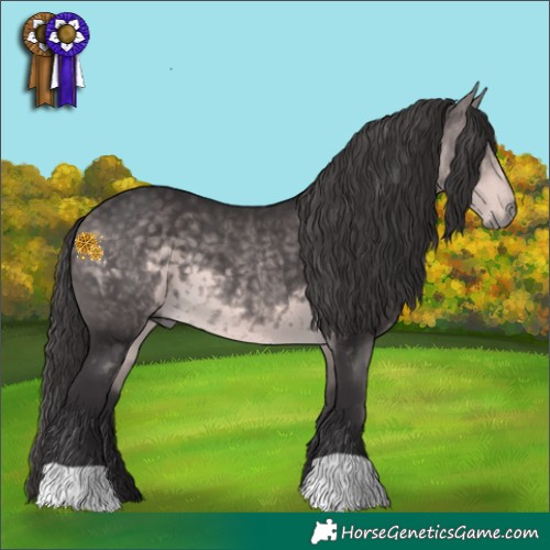 Horse Color:Platinum Buckskin 