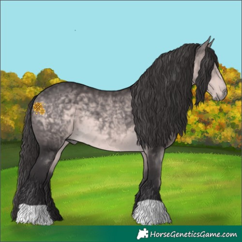 Horse Color:Platinum Buckskin 