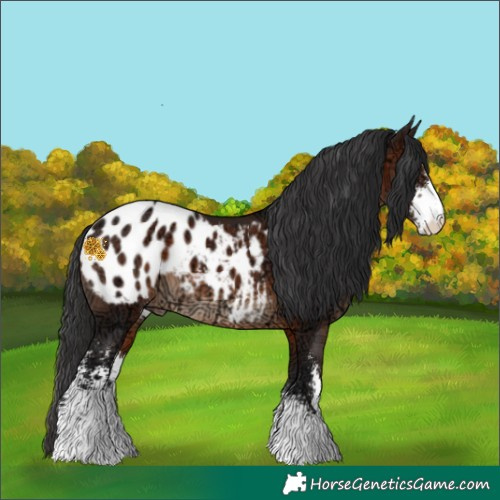 Horse Color:Brown Ice Sabino Varnish 