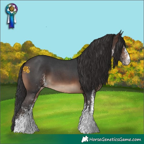 Horse Color:White Spotted Brown 