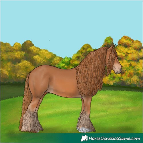 Horse Color:Chestnut 