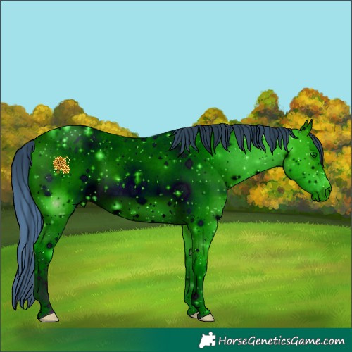 Horse Color:ERROR: UNKNOWN ANOMALY