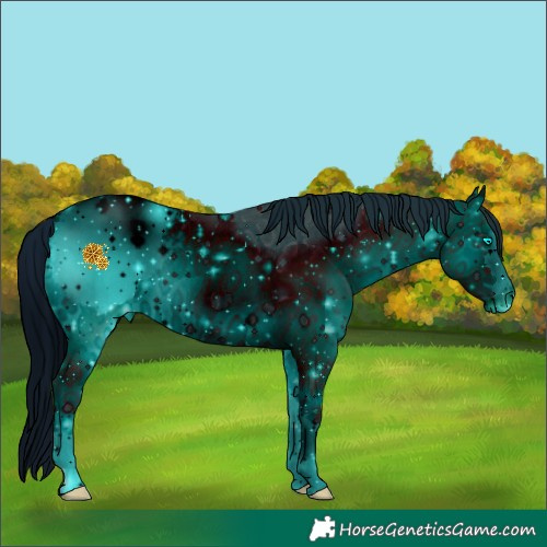 Horse Color:ERROR: UNKNOWN ANOMALY