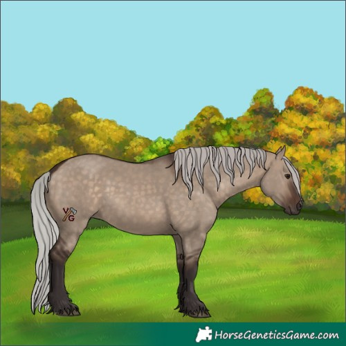 Horse Color:Silver Brown Dun 