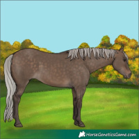 Horse Color:Silver Brown Dun 