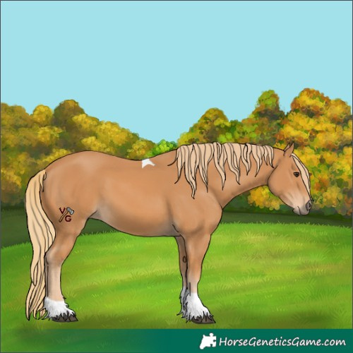 Horse Color:Chestnut Tobiano Rabicano 