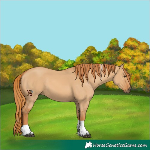 Horse Color:Red Dun Tobiano Rabicano 