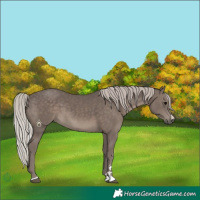 Horse Color:Silver Black 