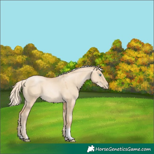 Horse Color:Palomino Pearl Dun Tobiano 