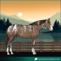 Horse Color:Powder White Liver Red Dun 