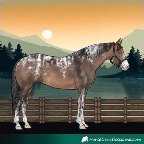 Horse Color:Powder White Brown Dun 