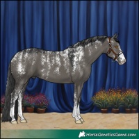 Horse Color:Powder White Grullo 