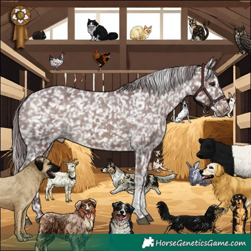 Horse Color:Chocolate Brown Dun Tobiano Snowflake Varnish Brindle 