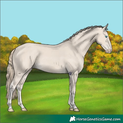 Horse Color:Smoky Creme 