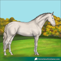 Horse Color:Smoky Creme
