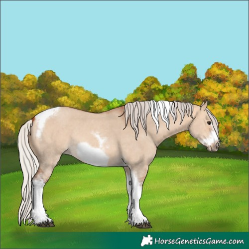 Horse Color:Silver Bay Dun Sabino Tobiano Frame Rabicano 
