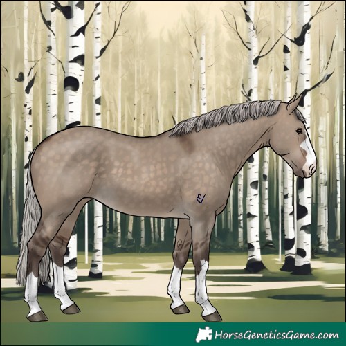 Horse Color:Silver Brown Dun 