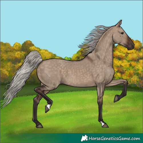 Horse Color:Silver Brown Dun