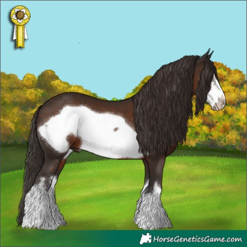 Horse Color:White Spotted Liver Chestnut Frame 