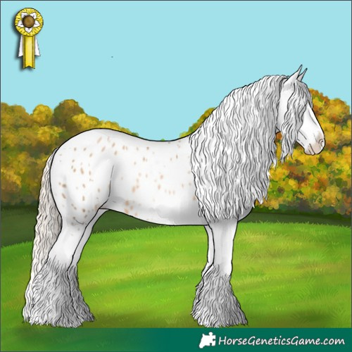 Horse Color:White Spotted Chocolate Palomino Pearl Appaloosa 