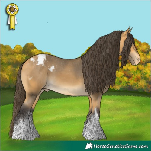 Horse Color:White Spotted Buckskin Appaloosa 