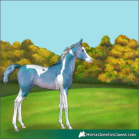 Horse Color:Watercolor Bay Splash Tobiano 