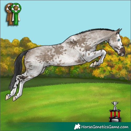 Horse Color:White Spotted Brown Dun Splash 
