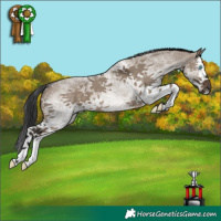 Horse Color:White Spotted Brown Dun Splash 