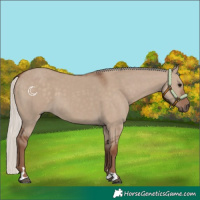 Horse Color:Silver Grullo