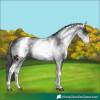 Horse Color:Unknown 
