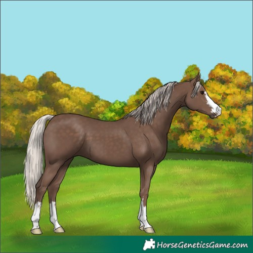 Horse Color:Silver Black 