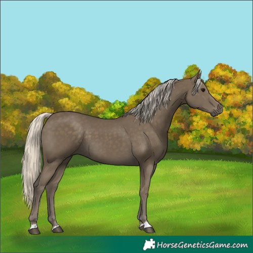 Horse Color:Silver Smoky Black 