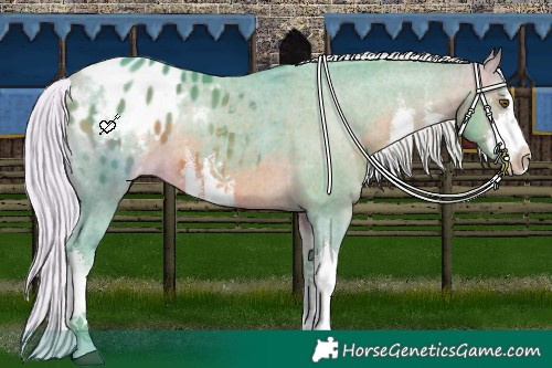 Horse Color:Watercolor White Spotted Silver Brown Appaloosa