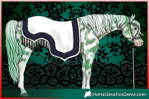 Horse Color:Watercolor Liver Chestnut Tobiano Appaloosa 