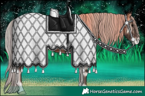 Horse Color:White Spotted Silver Blue Onyx Appaloosa 