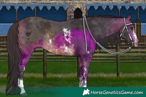 Horse Color:Buckskin Sabino Rabicano 