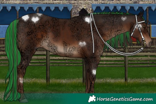 Horse Color:Painted Liver Chestnut Ice 