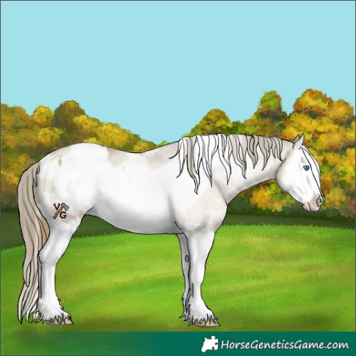 Horse Color:White Spotted Black Snowdrop Pearl Splash Frame 