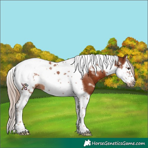 Horse Color:White Spotted Chestnut Splash Tobiano Frame 