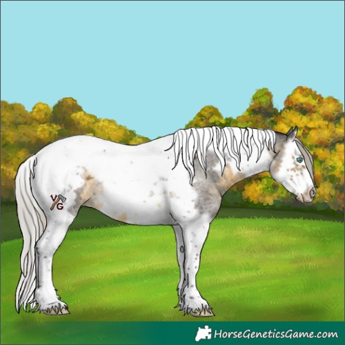Horse Color:Silver Buckskin Roan Splash Tobiano Frame Rabicano 