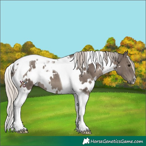 Horse Color:White Spotted Silver Black Tobiano 