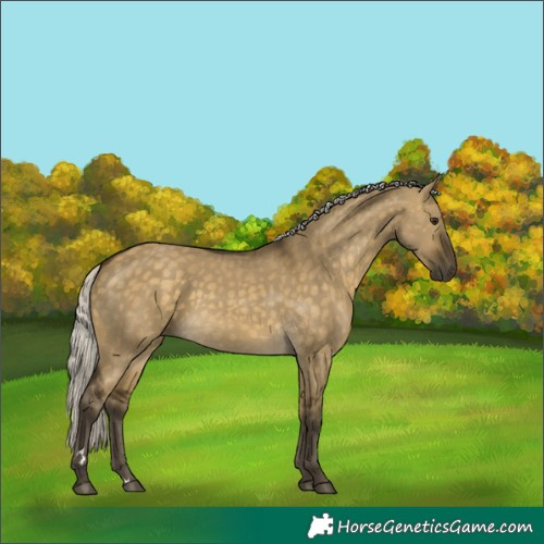 Horse Color:Silver Buckskin Dun 